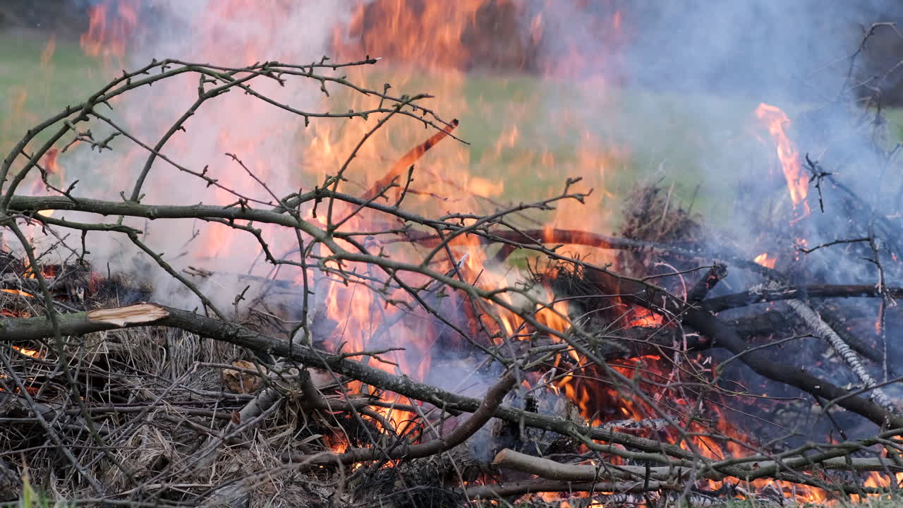 A pile of dry branches is on fire creating smoke The flames are orange and yellow There is grass in the background