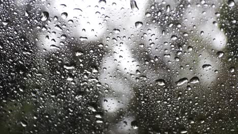 雨在汽車窗戶上,雨滴流向下,森林在背景