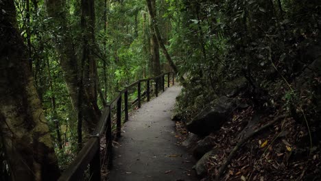 Walking-trail-in-Natural-Bridge,-Springbrook-National-Park,-Gold-Coast-Hinterland,-Australia