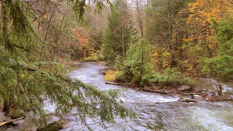 Corriente-De-Agua-Corriendo-En-El-Bosque-Con-Colores-Otoñales