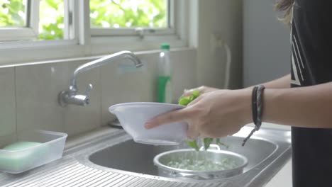 washing spinach vegetable in clean water and put it into a bowl