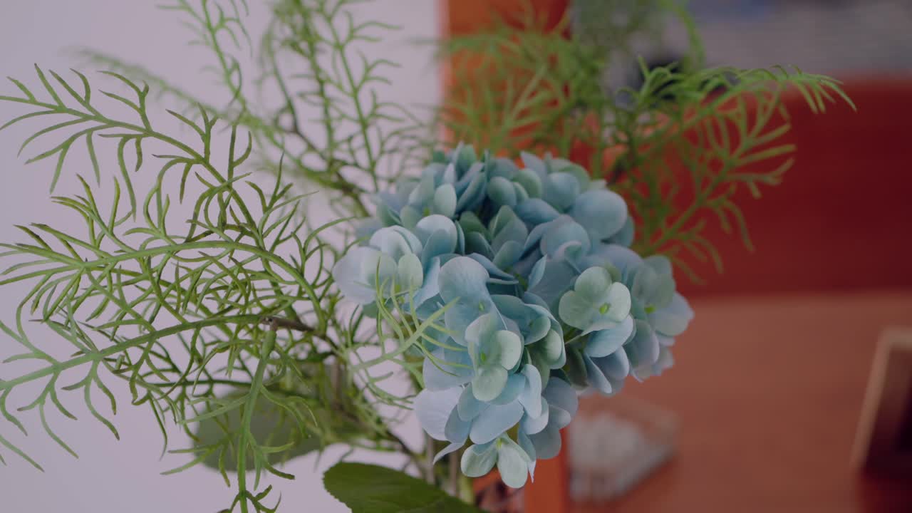 Soft blue hydrangea bloom with delicate green fern leaves in a simple indoor setting