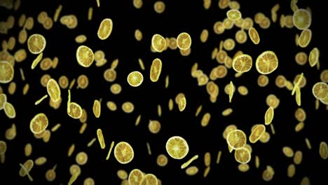 volando muchos limones secos en fondo negro. frutas deshidratadas, concepto de alimentos. animación 3d de frutas cortadas limones girando. animación de bucle.