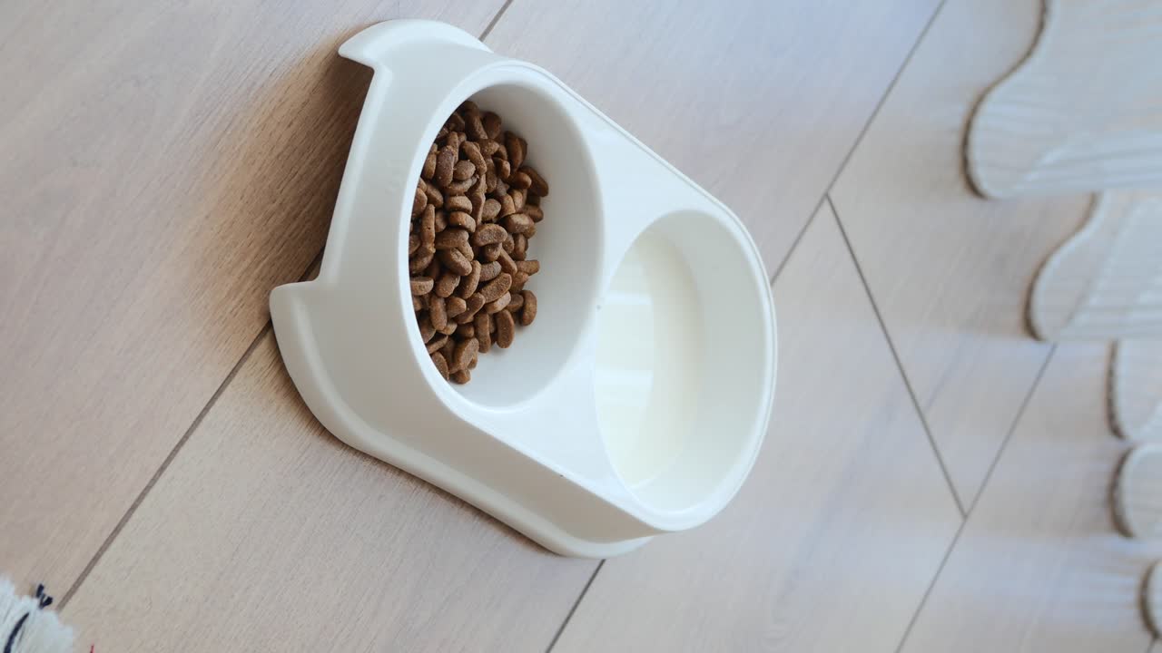 Close-up of Cat Food Bowl