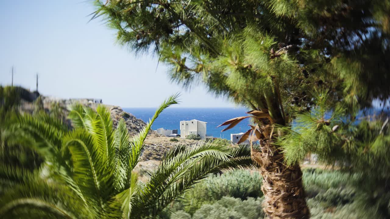 Vivid coastal panorama featuring a solitary house near the blue Mediterranean Sea, surrounded by palm trees and green foliage, encapsulating a serene and picturesque summer landscape.
