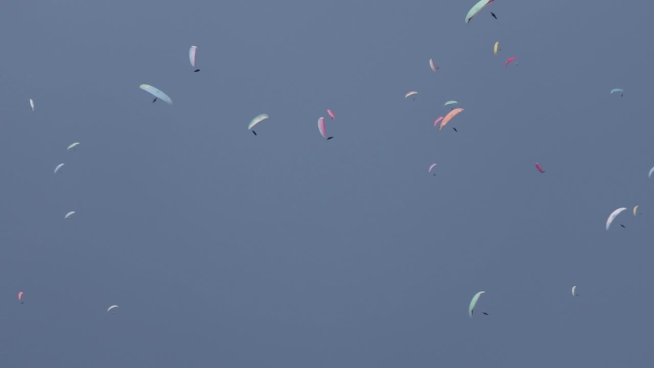 대회에서 패러글라이더들이 원을 그리며 스카이다이빙