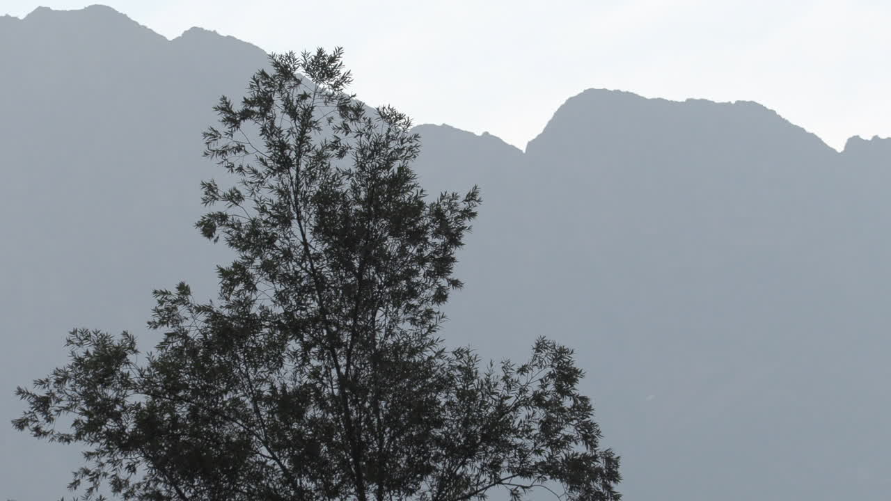 나무의 멋진 프레임과 배경에는 프랑스 알프스의 웅장한 산들이 있습니다.