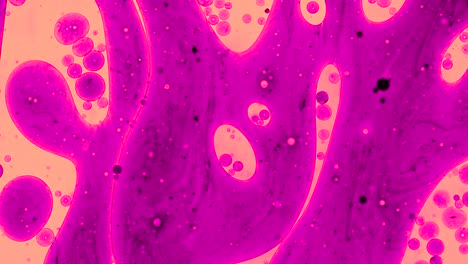 colorful oil drops floating on water surface, top view. fantastic abstract background. bright bubbles moving and spreading. close up 4k video of weird liquid structures. scientific chemical experiment