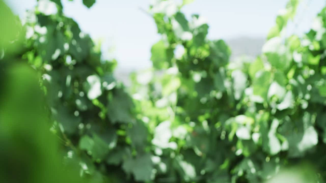 초록색으로 둘러싸여 있어야 합니다.