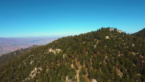 fly above bee canyon forest trees in hemet, california, united states