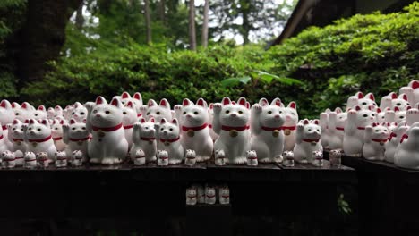 lucky cat charm gift shop figurines gotokuji temple tokyo maneki-neko japan