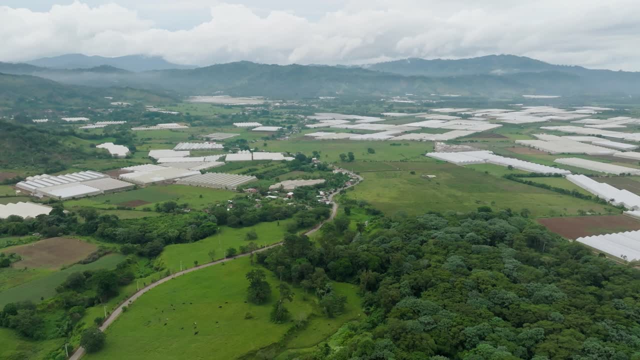 Main Street between greenhouses in Dominican Republic during cloudy day. Aerial wide shot. Forest trees and landscape in ocoa