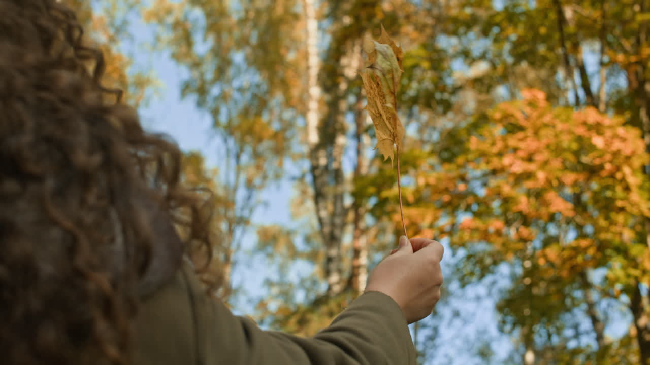 Woman Holding Maple Leaf in Autumn