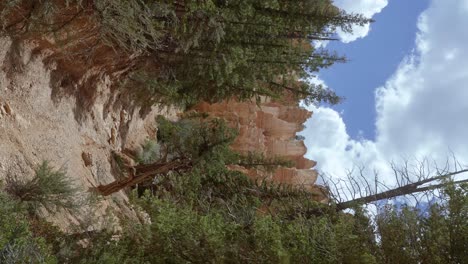 paisaje vertical inclinado tomado desde un valle de árboles mirando hacia grandes acantilados blancos y naranjas en el desierto en el sur de utah con hoodoo y otras formaciones debido a la erosión en un cálido día de verano