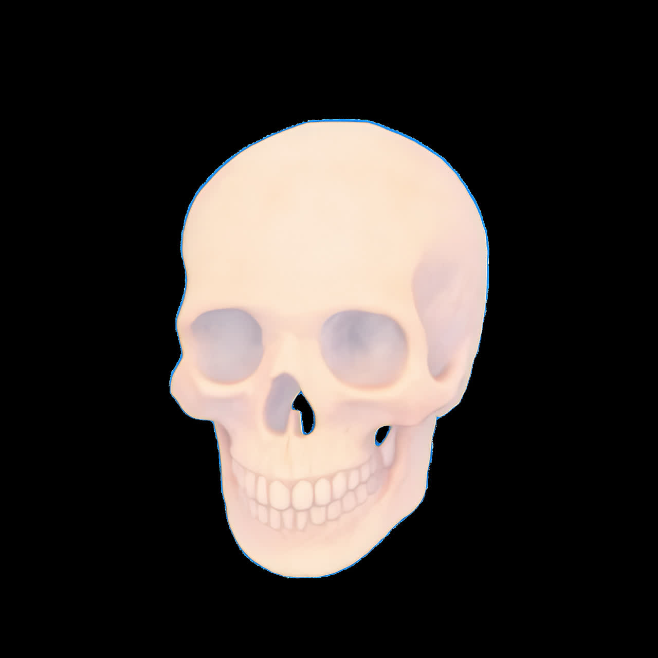 Minimalist pastel skull illustration animation isolated asset, transparent 4K video, alpha channel