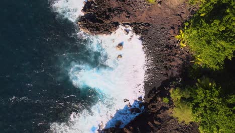 expansive top-down drone shot highlights the serene blue ocean reaching the subtle cliff edges on big island, hawaii