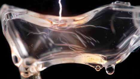 intricate dynamics of liquid and light: a fascinating journey through the transformation of water droplets captured in stunning detail