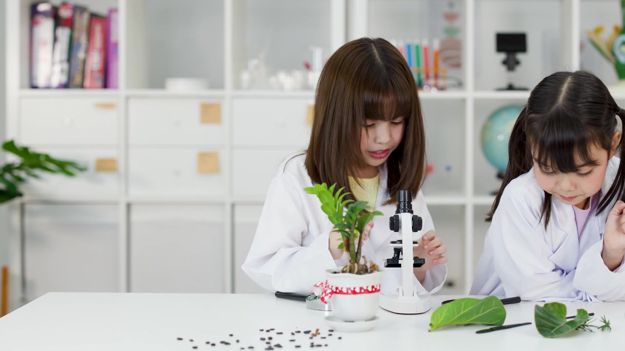 明るい教室で、白衣を着た2人の若い少女たちが顕微鏡で植物を調べている。