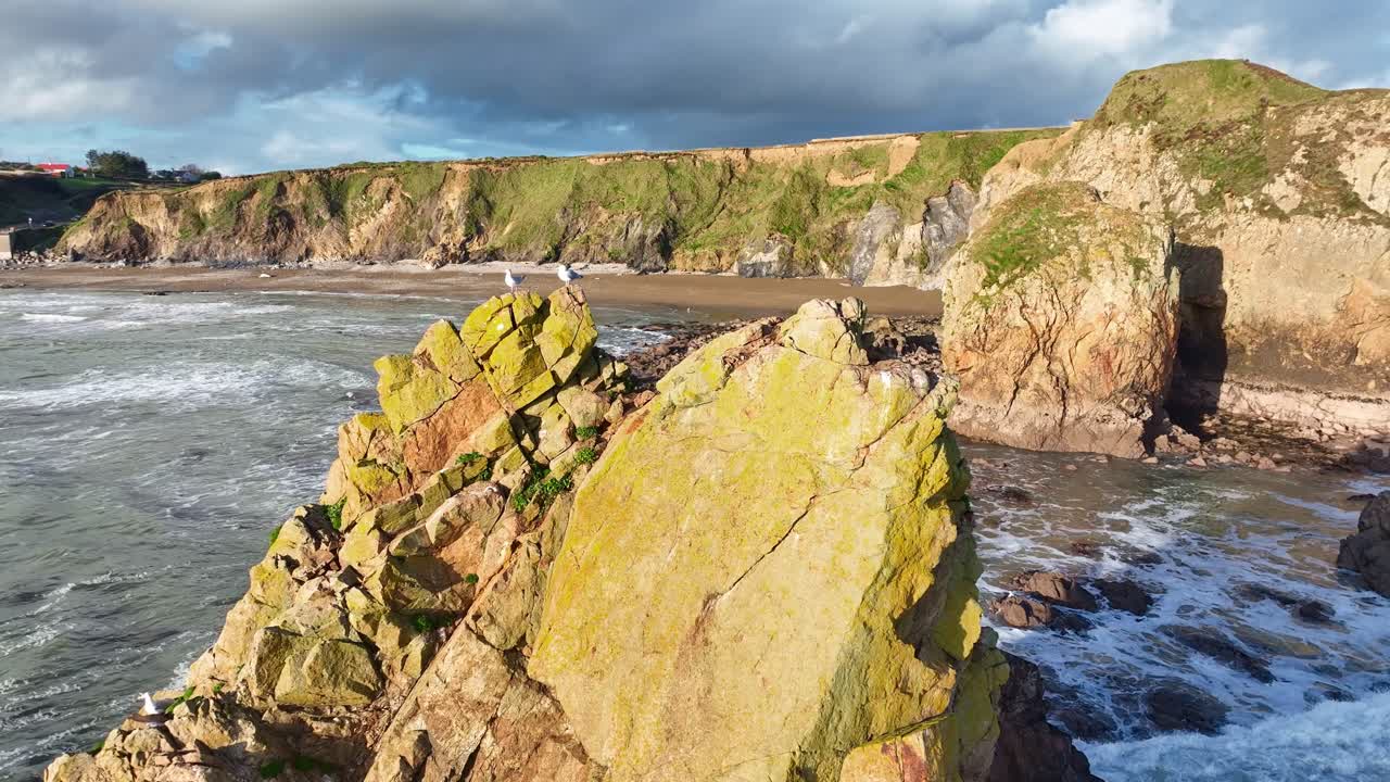 Ireland Epic Locations drone circling sea stack with seagulls and dramatic sea cliffs and beaches in background Stunning Waterford Coastline