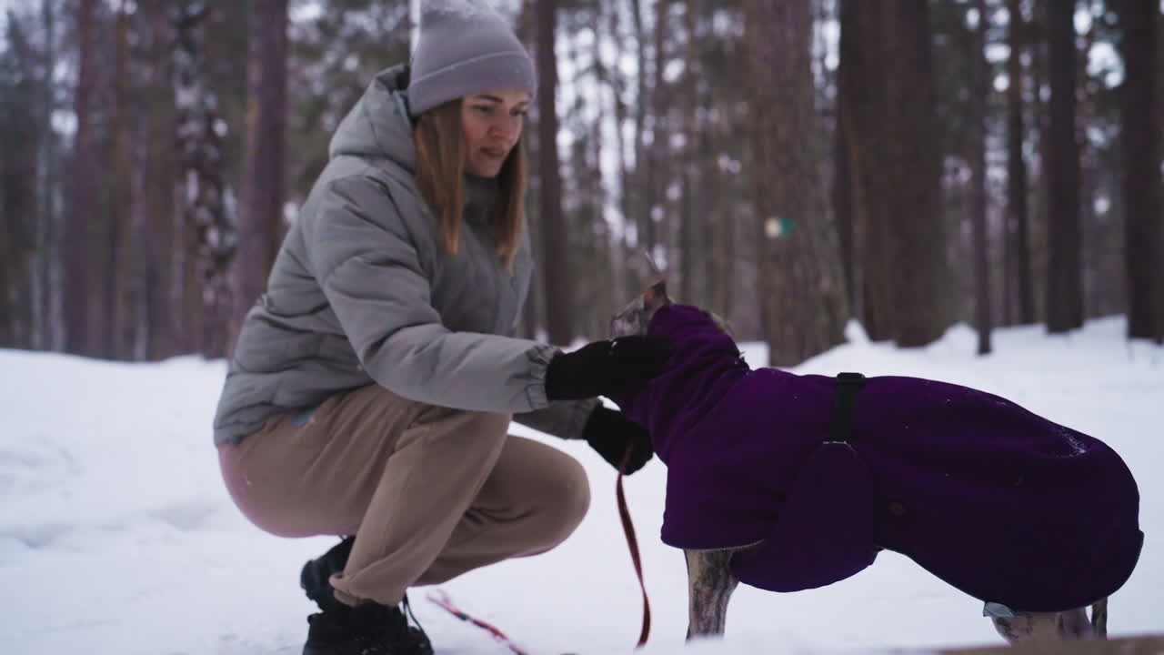 Woman wearing grey jacket and beanie kneels in snowy forest petting greyhound dog dressed in purple coat. Gentle interaction reflects warmth and companionship amid tranquil winter woodland setting