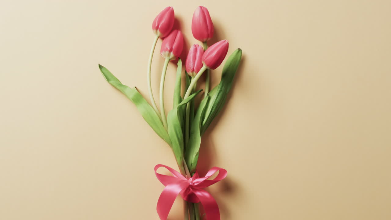 видео букета красных тюльпанов с красной лентой и копировальным пространством на желтом фоне