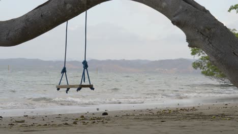 a rope swing hanging from a tree on the beach as the tide comes in.