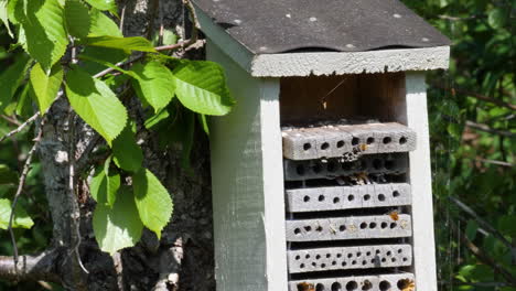 Erhaltung-Der-Bienenpopulation:-Bienenhotel-Lösung-Mit-Fliegenden-Bienen,-Mittlere-Aufnahme