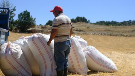 farmer carrying straw sacks