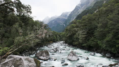 Río-De-Montaña-Con-Rocas-Cubiertas-De-Musgo-Que-Fluye-A-Través-De-Un-Bosque-Verde