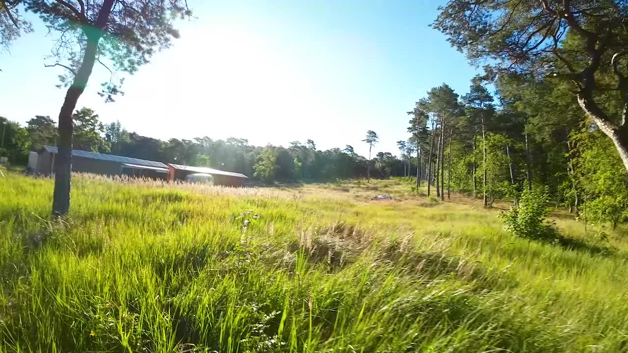 시골 마을의 풀밭과 푸른 나무 - 드론 샷