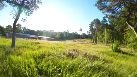 grass field and green trees in a rural town - drone shot