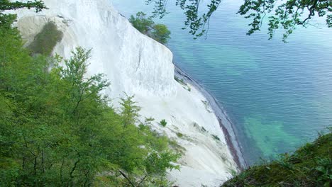 Blue-and-green-ocean-at-the-bottom-of-a-white-chalk-cliff-is-framed-by-forest-foliage