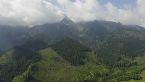 aerial panoramic view of deforestation in tatra mountain on a sunny day in ždiar, slovakia