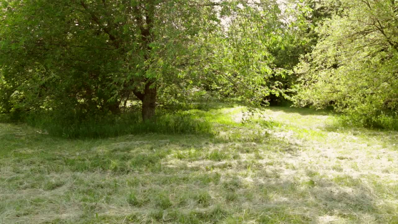 familia feliz disfrutando de un día en el parque