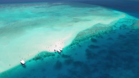 luftaufnahme der tropischen sandbank und lagune mit korallenriff und touristen, malediven