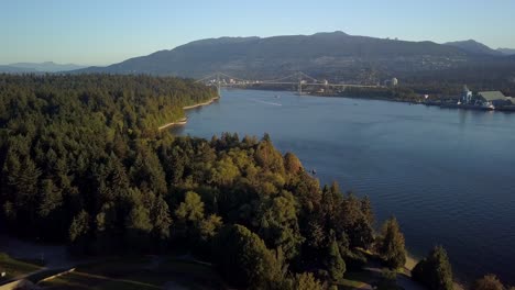 flying over the green coniferous trees at stanley park with a lions gate bridge in the distance over the burrard inlet in vancouver, canada