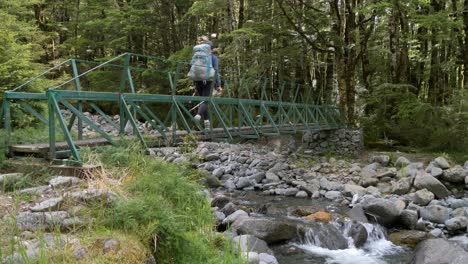 pan, hiker crosses bridge over rocky creek, fiordland, kepler track new zealand