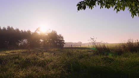 Early-morning-countryside-sunrise,-view-of-rural-field-on-a-sunny-clear-sky-day