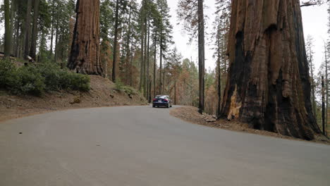 Blue-Tesla-Car-Driving-Around-Sequoia-National-Park-In-The-Sierra-Nevada-Mountains,-California,-USA