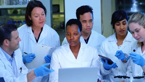 team of scientists discussing over laptop 4k