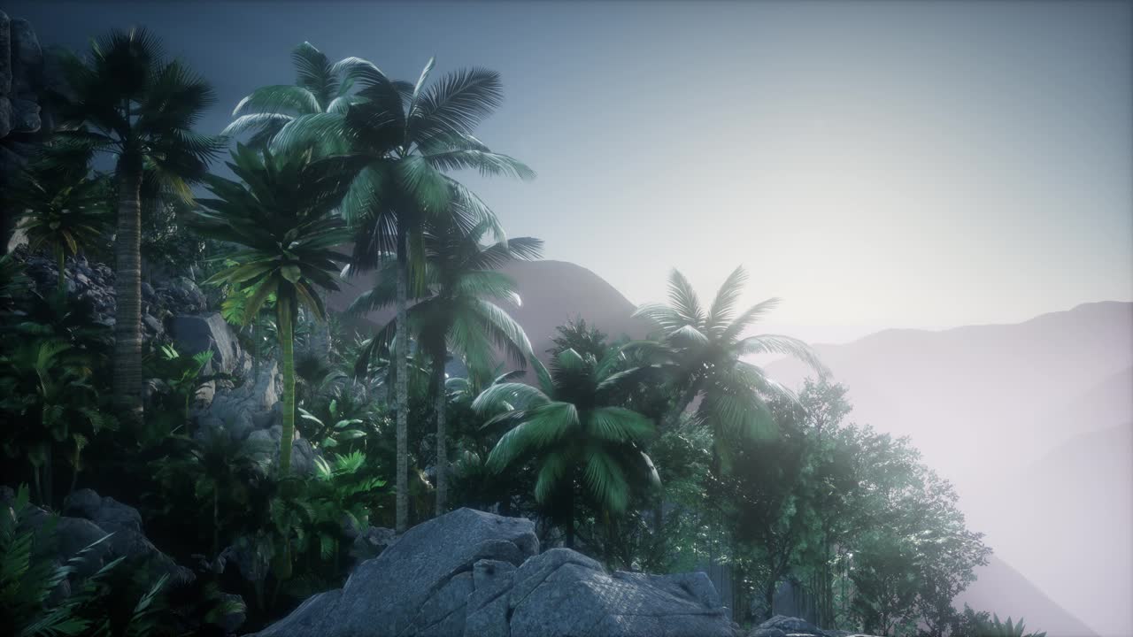 los rayos del atardecer a través de las palmeras