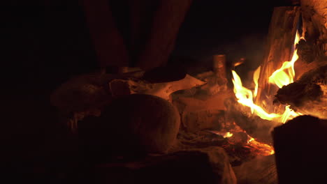 fuego de campamento ardiendo en una espeluznante noche oscura con cráneo animal en el fondo