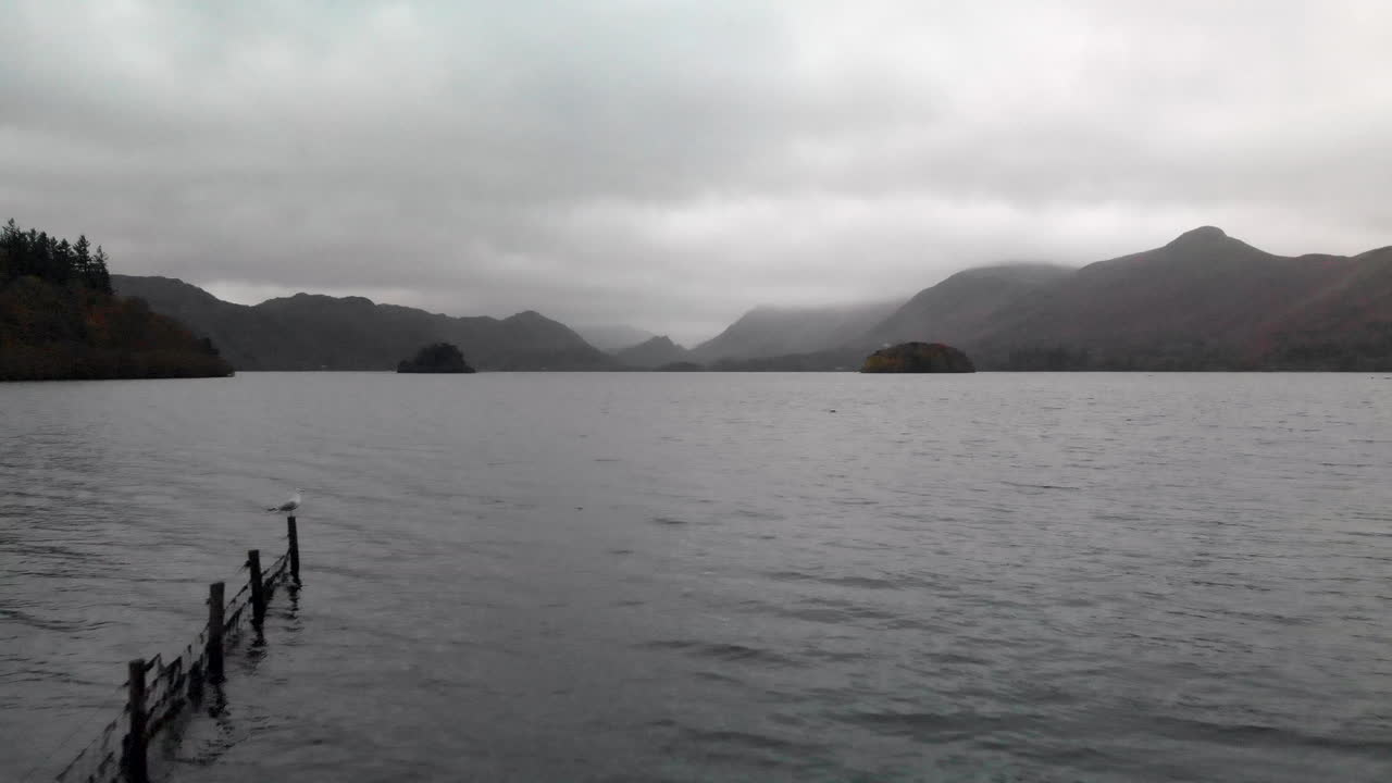 새가 날고 있는 일출 때 배경에 산이 있는 울타리를 가로지르는 낮은 비행 샷