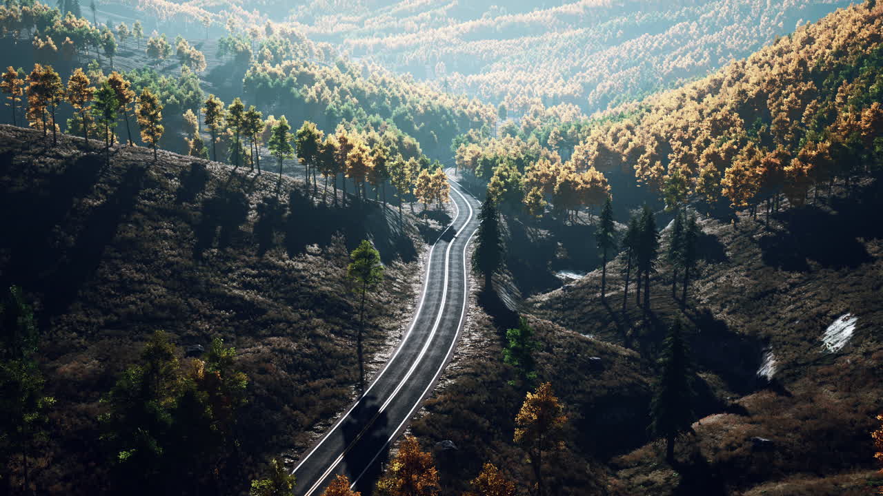 árboles con follaje amarillo en montañas brumosas