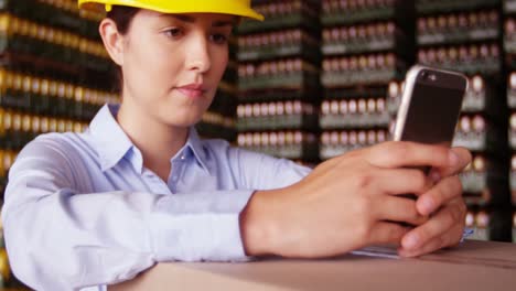 female supervisor using mobile phone in warehouse