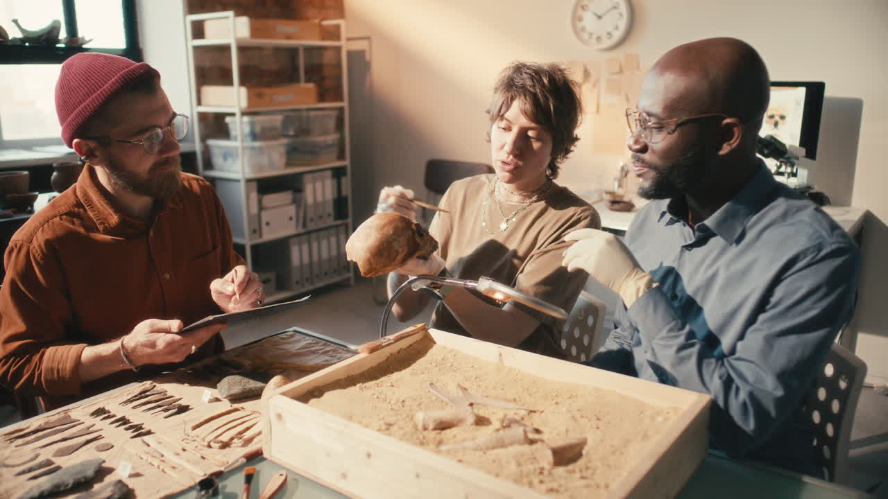 arqueólogos que trabajan en equipo durante la investigación en el laboratorio
