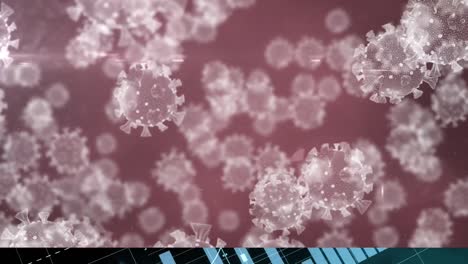animation of multiple virus cells floating on brown background