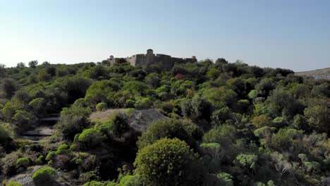 Castillo-Medieval-De-Piedra-Rodeado-De-Vegetación-Verde-Y-Agua-De-Mar-Azul-En-Albania