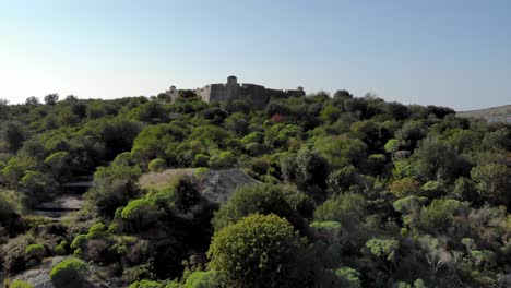 castillo medieval de piedra rodeado de vegetación verde y agua de mar azul en albania