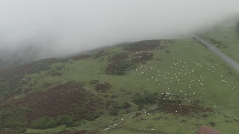 Schafherde-Am-Berghang,-Spanischen-Pyrenäen-An-Einem-Tag-Mit-Tief-Hängenden-Wolken,-Spanien